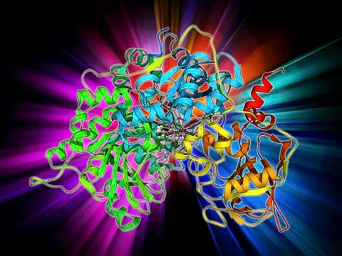 Metabolic enzyme molecule Stock Illustration