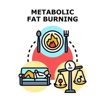Metabolic fat burning process concept vector illustration Stock Illustration