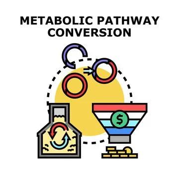 Metabolic pathway conversion process generating financial profit Stock Illustration
