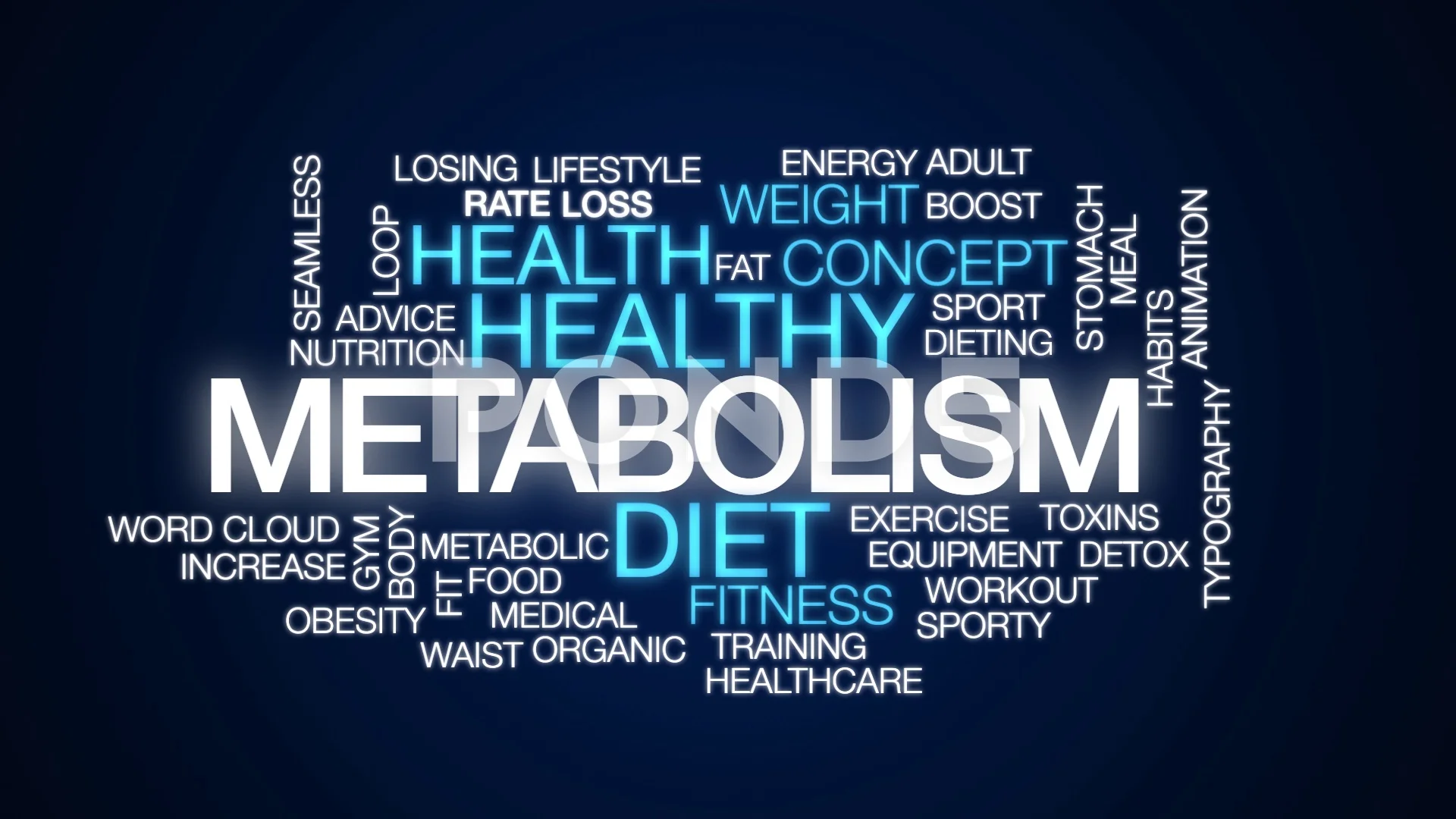 10 Free Metabolism  Metabolic Images  Pixabay