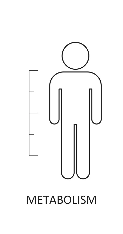 Metabolism level scale. The measuring device icon. Infographic gauge element. Stock Footage 311300043
