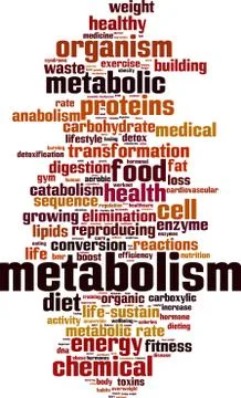 Metabolism word cloud Stock Illustration