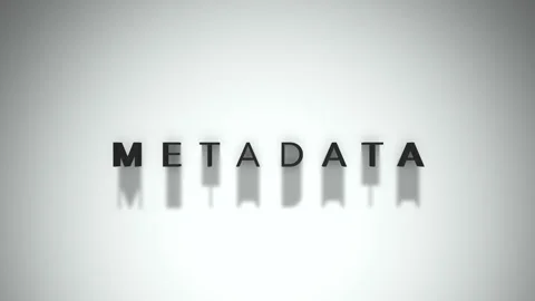 Metadata 3D title animation matte black text on a white background Stock Footage 300718406