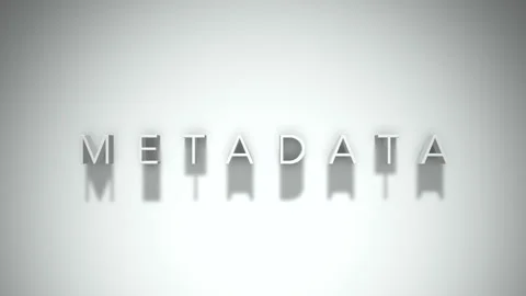 Metadata 3D title animation with shadows on a white background Stock Footage 296514593