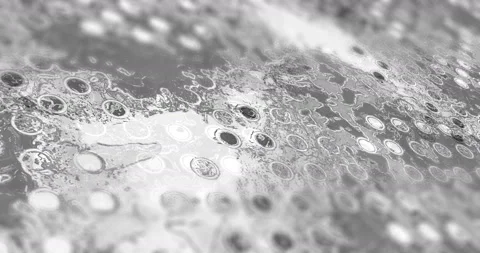 Metal background with circles. Seamless loop. Closeup video. DOF. Stock Footage 126139064