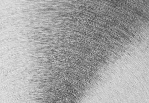 Metal background Stock Photos