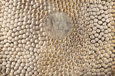 Metal background Foto stock