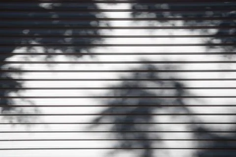 Metal background view Фото
