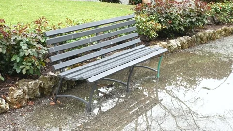 Metal bench in a meadow Stock Footage 152243514
