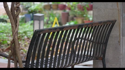 Metal Bench with Twisted Tree Trunk in Garden Setting, No People Stock Footage 330402187