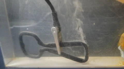 Metal bottle opener in electrolytic bath cleans rust in time-lapse motion. Stock Footage 319473791