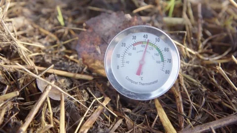 Metal compost thermometer measuring temperature in garden waste pile during.. Stock Footage 337283022