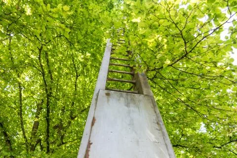 Metal construction in front of a tree Stock Photos