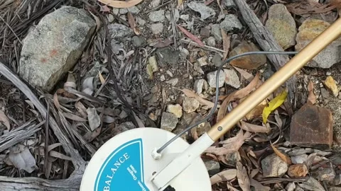 Metal Detecting Close-Up Stock Footage 245136830