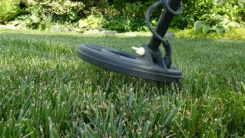 Metal Detecting for a screw Stock Footage 107231976