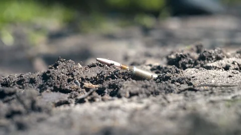 Metal detector detects a bullet in the ground close up Stock Footage 89799703