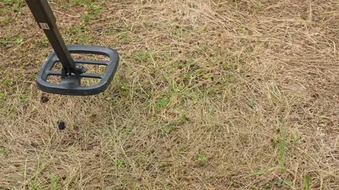 Metal detector in the forest. A man is looking for treasure in the forest. Stock Footage 233009338
