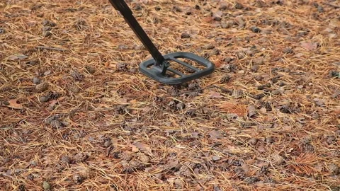 Metal detector in the forest. A man is looking for treasure in the forest. Stock Footage 233470505