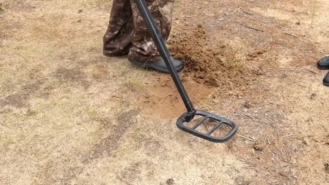 Metal detector in the forest. A man is looking for treasure in the forest. Stock Footage 233847941