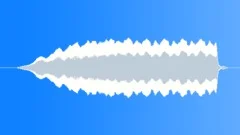 METAL DETECTOR Sound Effect