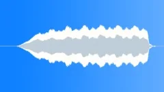 METAL DETECTOR Sound Effect