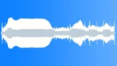 METAL DETECTOR Sound Effect