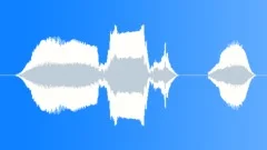 METAL DETECTOR Sound Effect