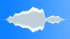 Metal door squeak 04 Sound Effect