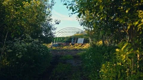 Metal Frame Of Ongoing Greenhouse Installation In Rustic Garden Yard Stock Footage 342589798