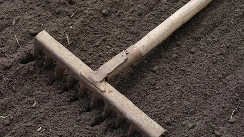 Metal garden rake lying on dark tilled soil.  Stock Footage 330297797
