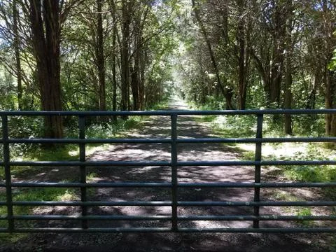Metal gate and path or trail and trees Stock Photos