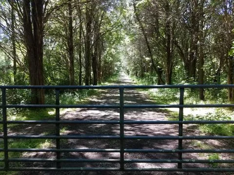 Metal gate and path or trail and trees Stock Photos