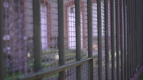 Metal gate grid in line patterns. Security gate Stock Footage 146330107