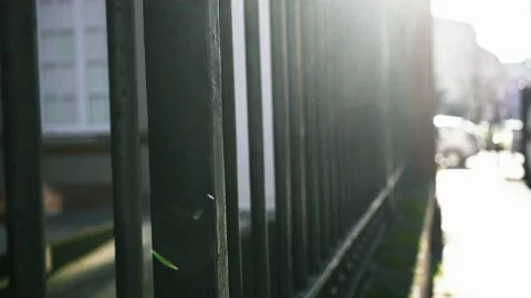 Metal gate grid in line patterns. Security gate Stock Footage 146330166