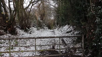 Metal gate guards a forest path Stock Footage 85722541