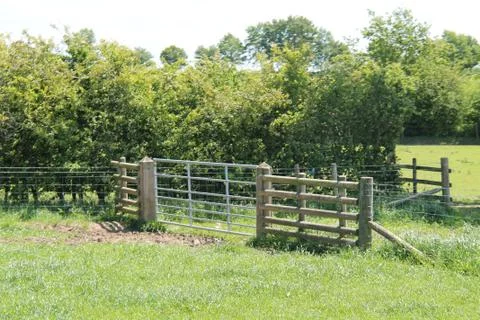 Metal Gate. Stock Photos