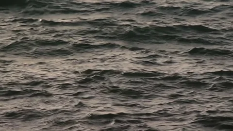 Metal Grey Sea Waves Surface 1 Stock Footage 81368167