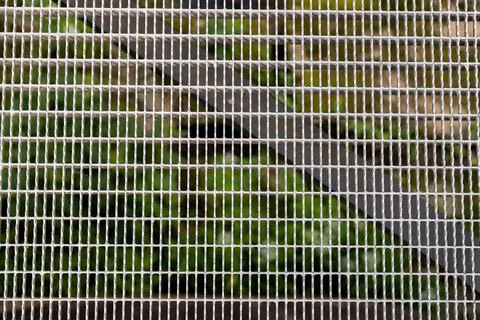 Metal grid Stock Photos