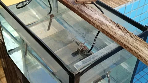 Metal items undergoing electrolysis Vidéo 252241349