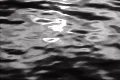 Metal Liquid Background 03 Loop Footage