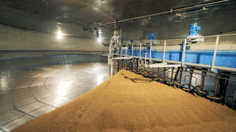 Metal machine drying seed at a warehouse. Malt processing equipment at malt 動画素材 101971010