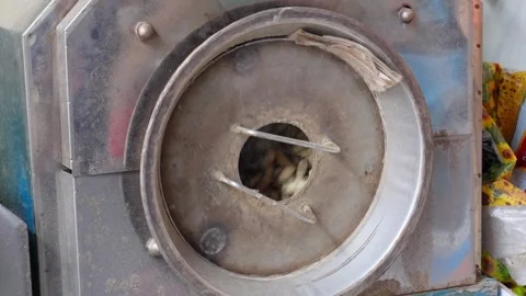 Metal Machine Roasting Peanuts — Traditional Snack Preparation Process Stock Footage 312584897