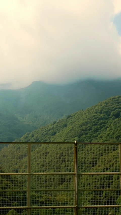 A metal mesh on a bridge overlooking a precipice in the Alps during the summer. Stock Footage 311994845