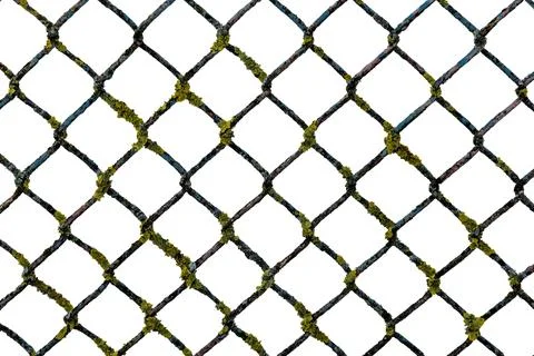 Metal mesh texture on a white background. Torn steel, metal mesh with green.. Stock Photos