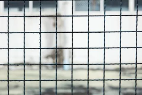 Metal net with blured background Stock Photos