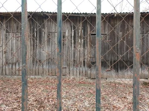 Metal net with a pattern with dry leaves behind Stock Photos