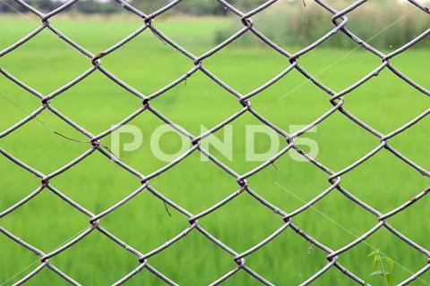 Metal netting, Mesh fence iron Rusty barbed wire detention center security Stock Photos