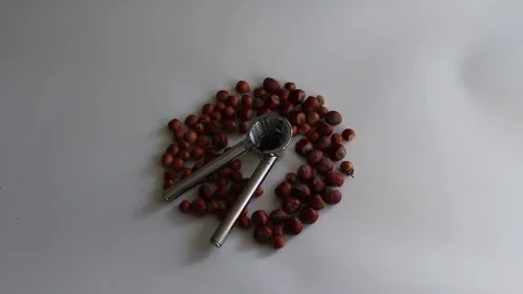 Metal nutcracker for shelling kernels Stock Footage 323696911