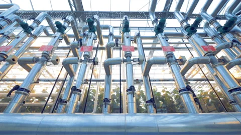 Metal pipes installed in a functioning greenhouse Stock Footage 90952322