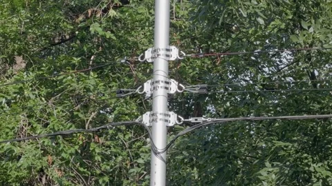 Metal pole with brackets and stretched wires against green foliage background Stock Footage 337883371